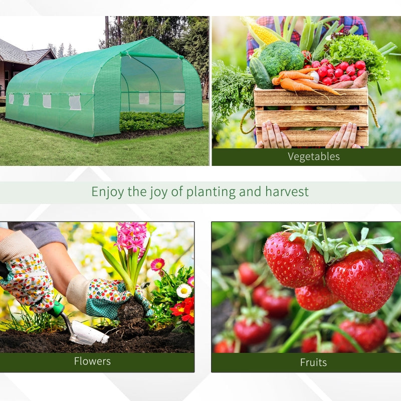 Polytunnel Greenhouse 6x3m Walk-in with Windows and Door, Green