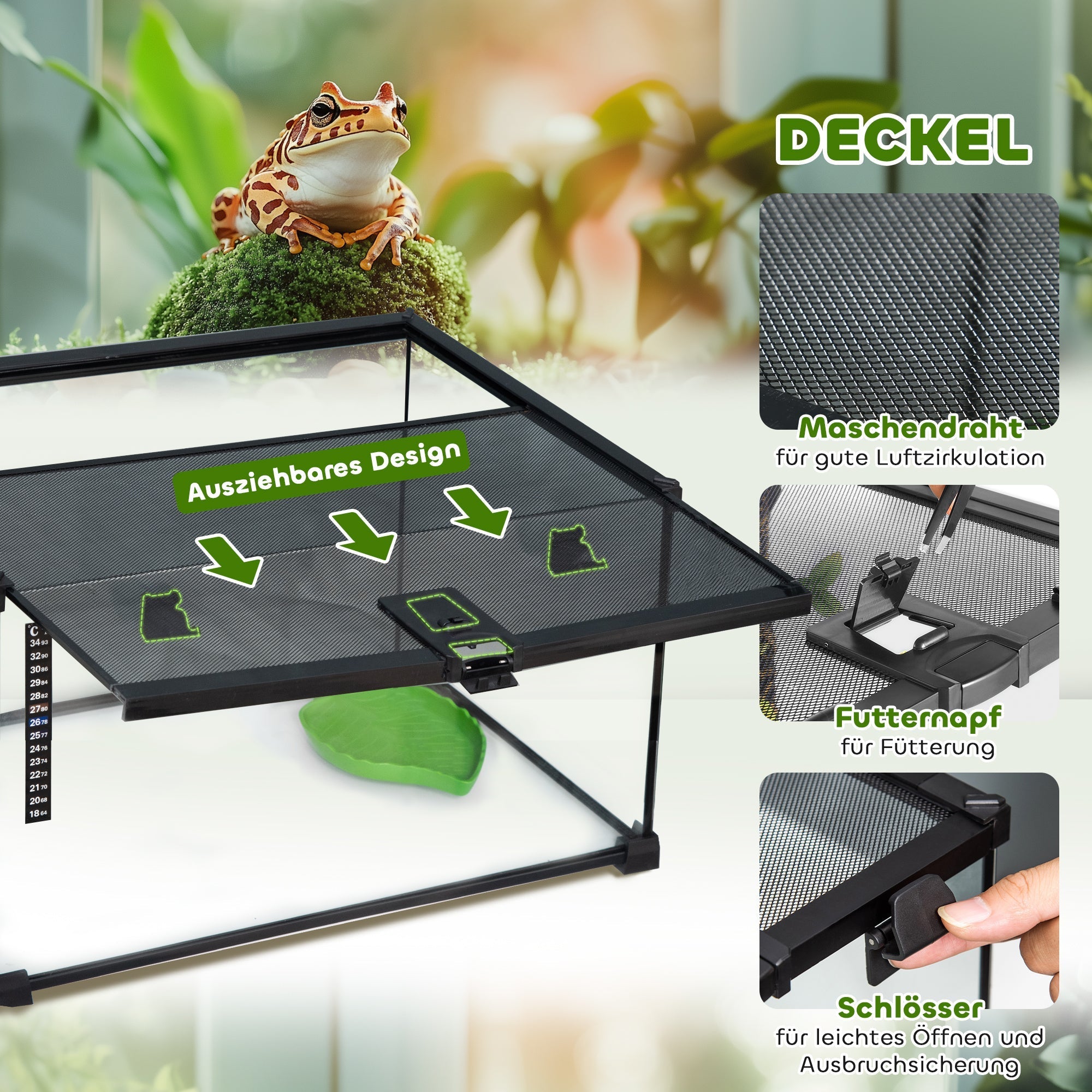 Terrarium, Reptile Feeding Box, Glass