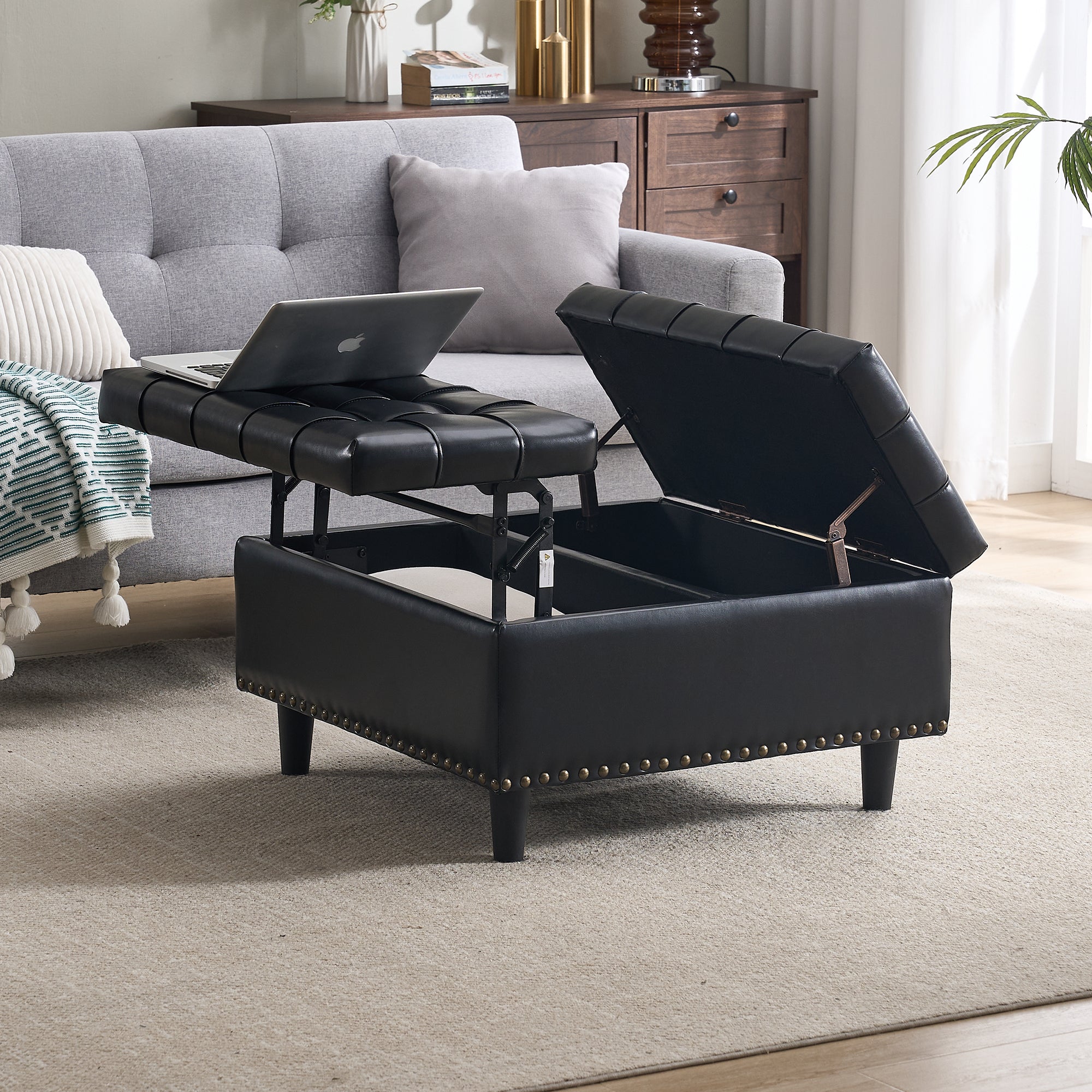 Storage Chair, Large Square Liftable Bench with Space, Black PU