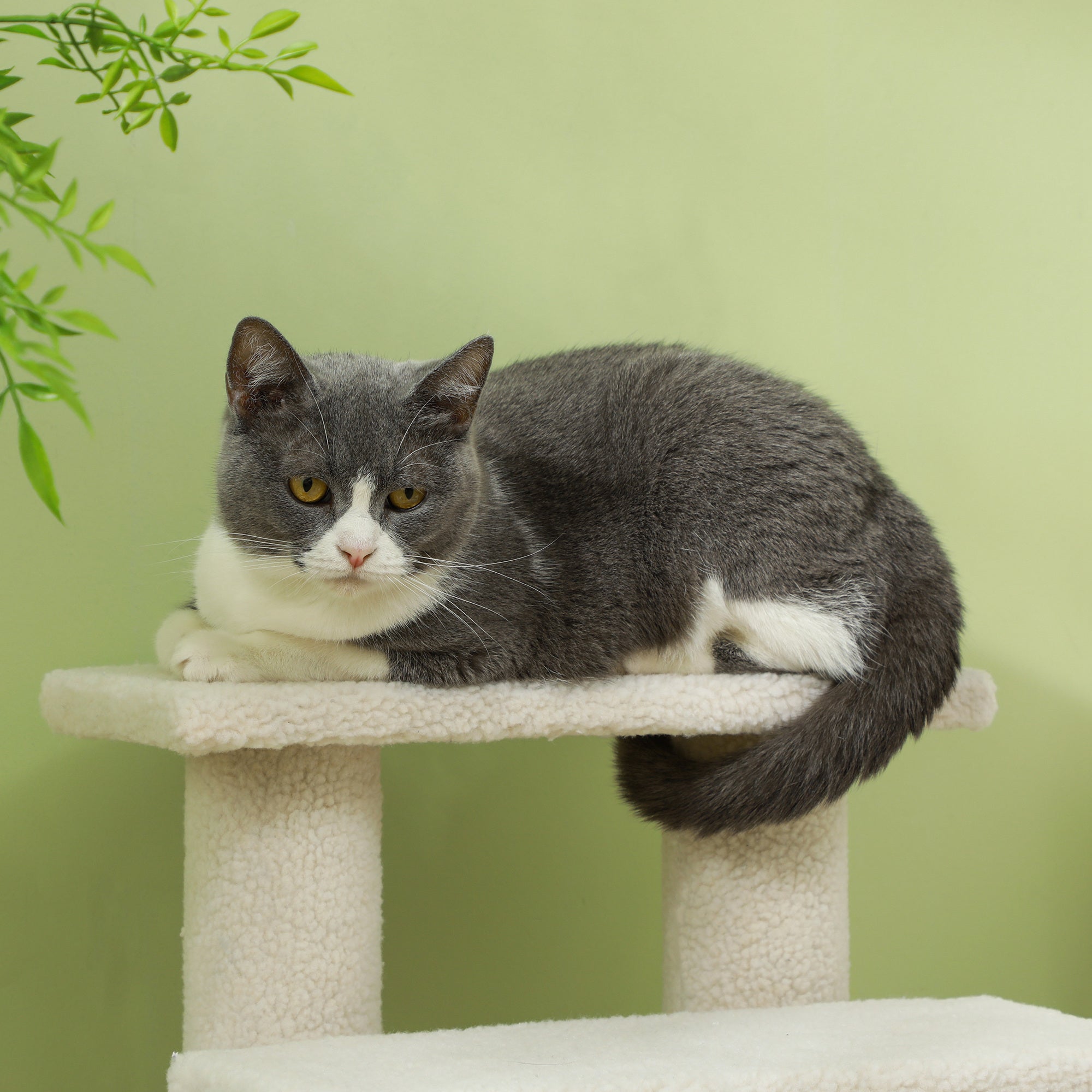 Haustiertreppe, 4 Stufen, ideal für ältere Tiere, Plüsch Beige