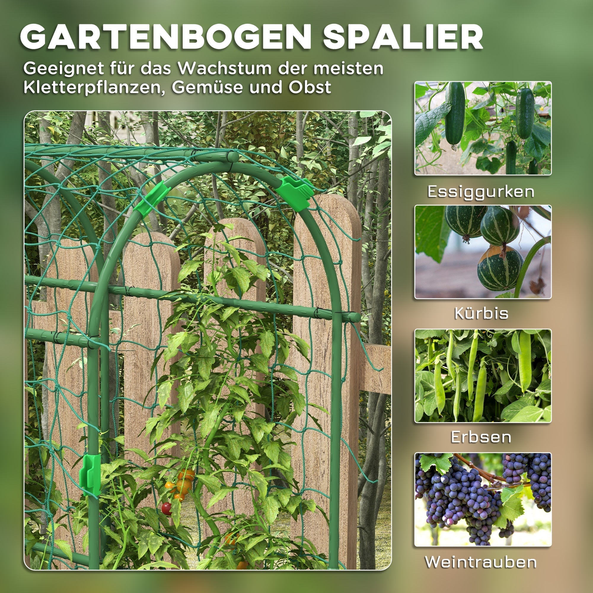 Trellis Adjustable Climbing Aid, Steel Plant Frame with Net, Green