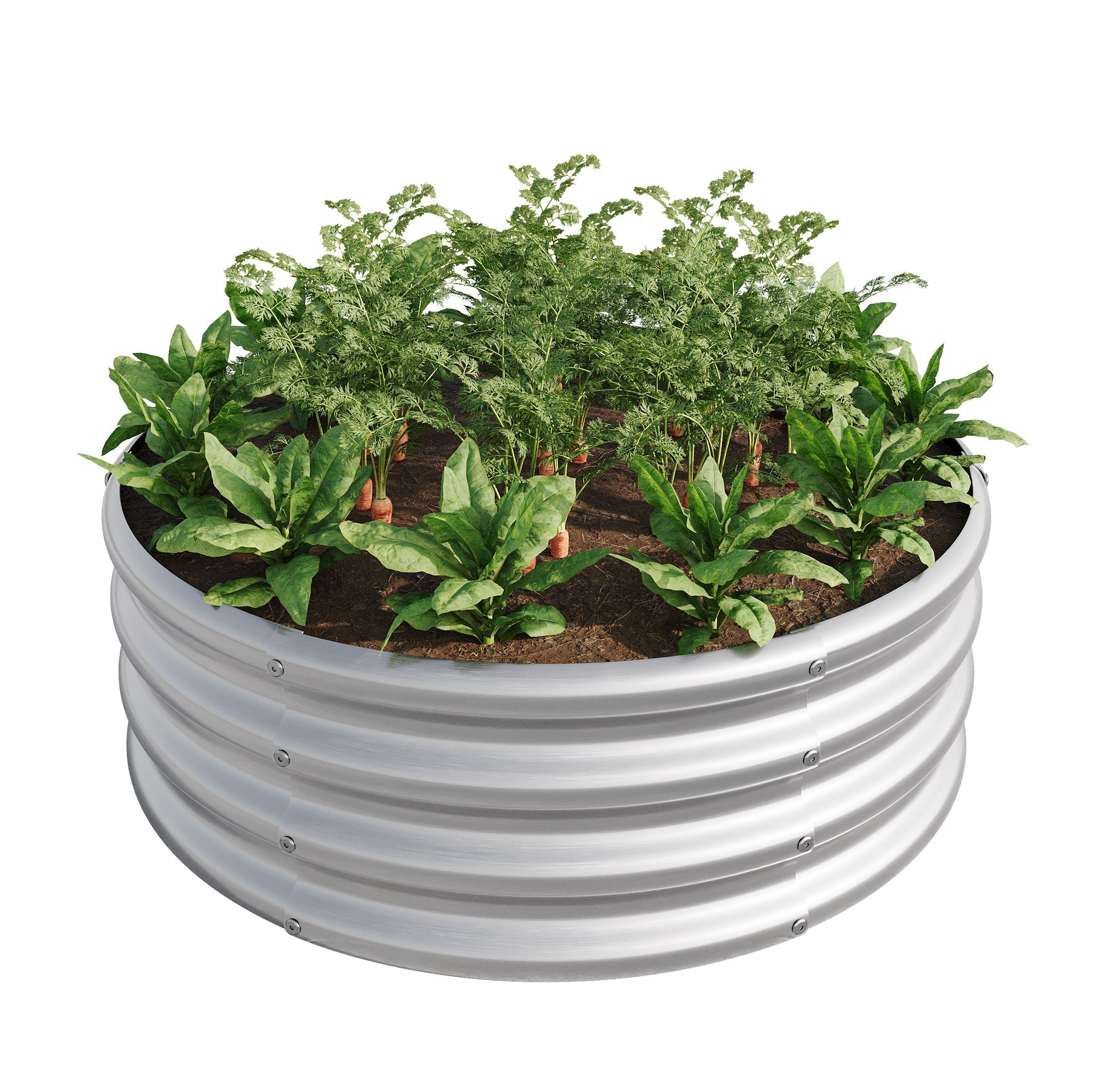 Raised Garden Bed, Horticulture Vegetables Flowers, Silver