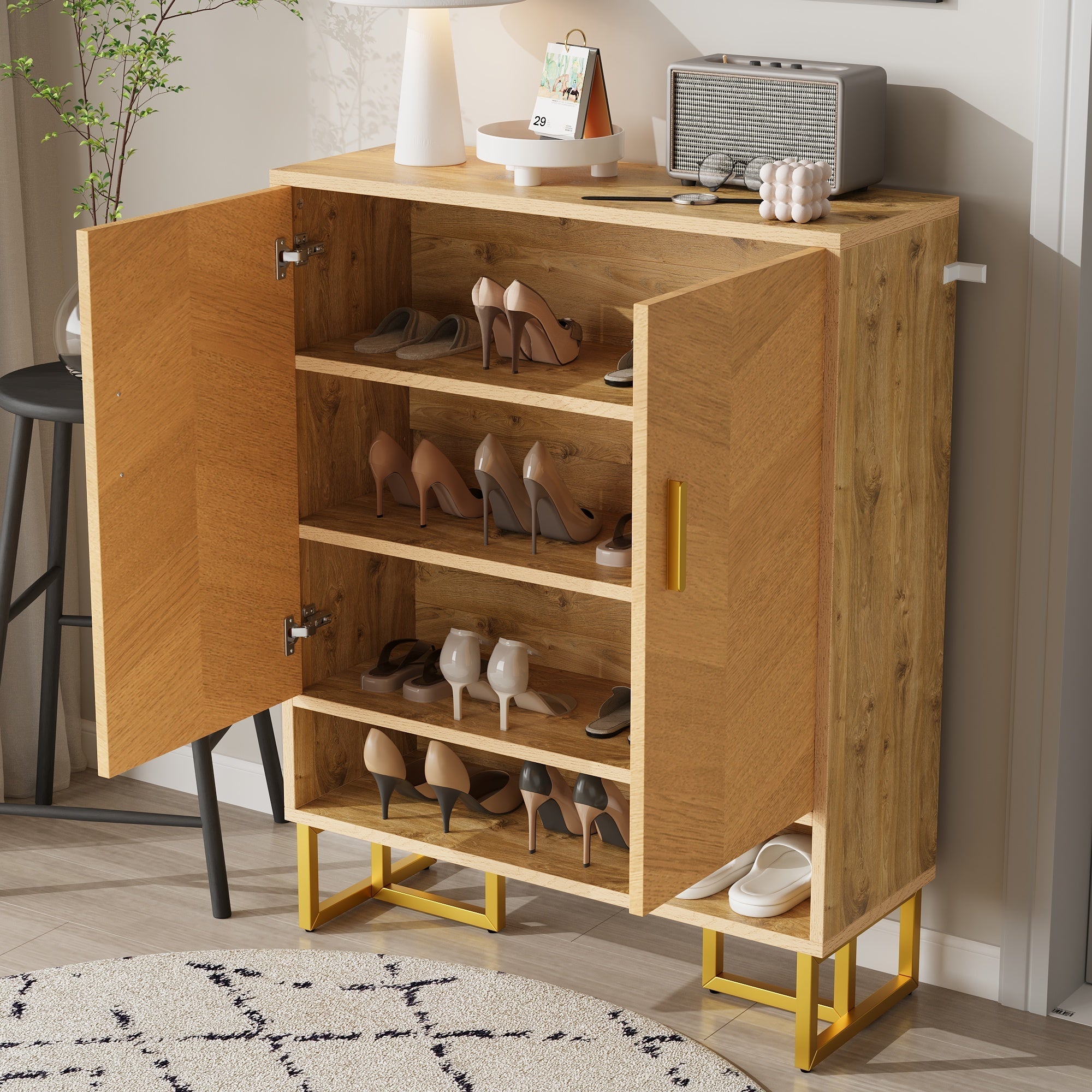Narrow Shoe Cabinet Modern Minimalist 2-Door Storage - Wood Grain/Golden Frame