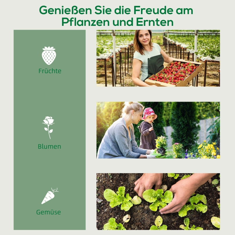 Plastic Greenhouse, 4-Shelf Cold Frame, Transparent