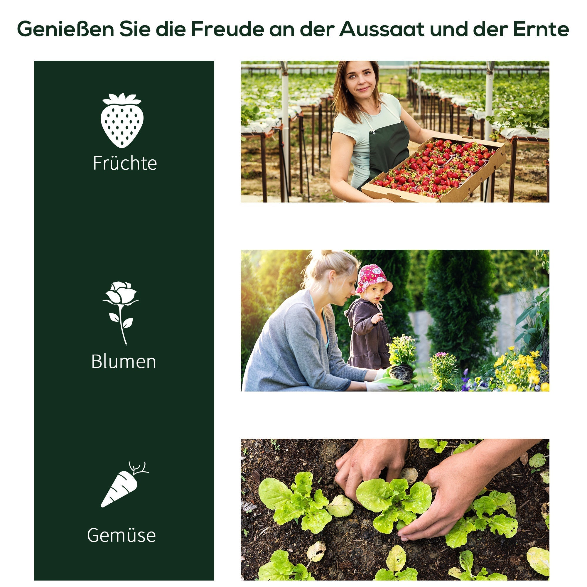 Greenhouse Cold Frame Plant House with Door, 200 x 100 x 80 cm, Steel/Plastic Green