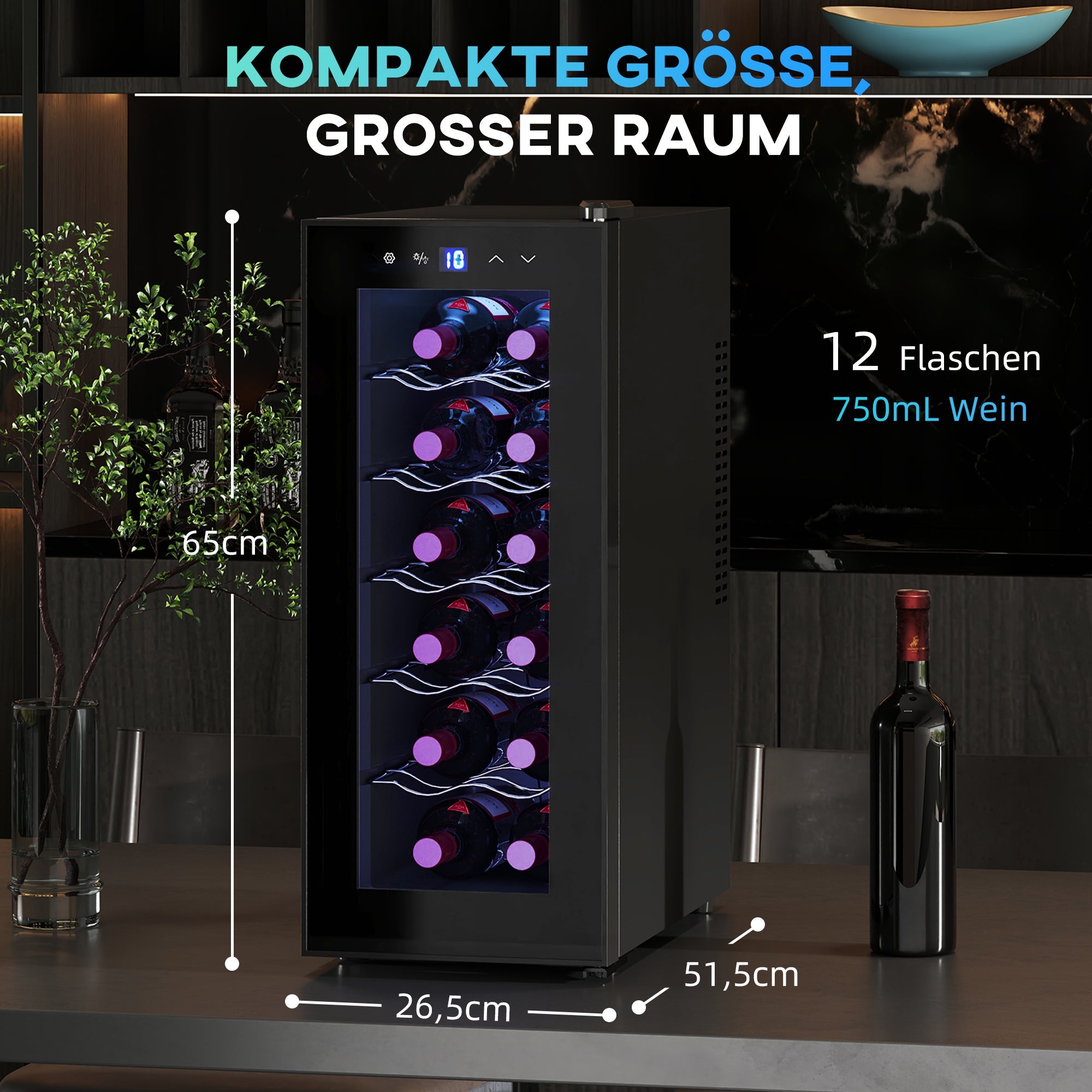 Wine Cooler 12 Bottles 30L 8-18℃ Double Thermoelectric with Glass Door, Beverage Cooler with LED Light, Small Wine Cabinet, Touch Screen, Black