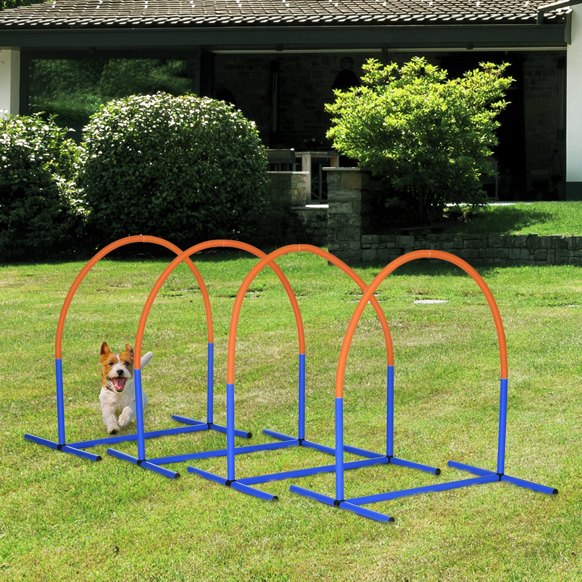 Dog Agility Training Set 4-Piece with Carrying Bag, Blue Orange