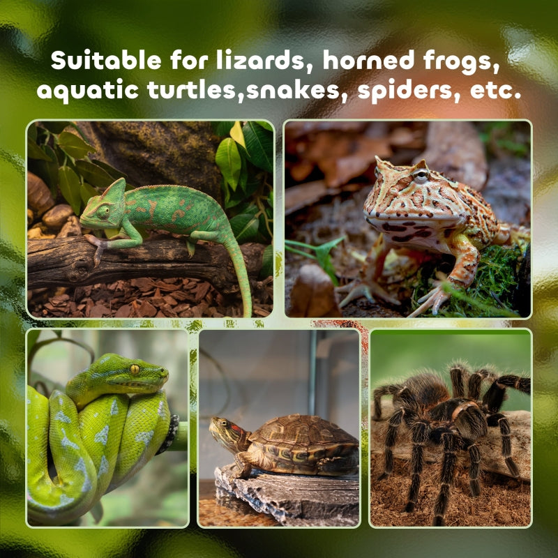 Glass Reptile Terrarium Vivarium Habitat with Thermometer, Large 50x30x35cm