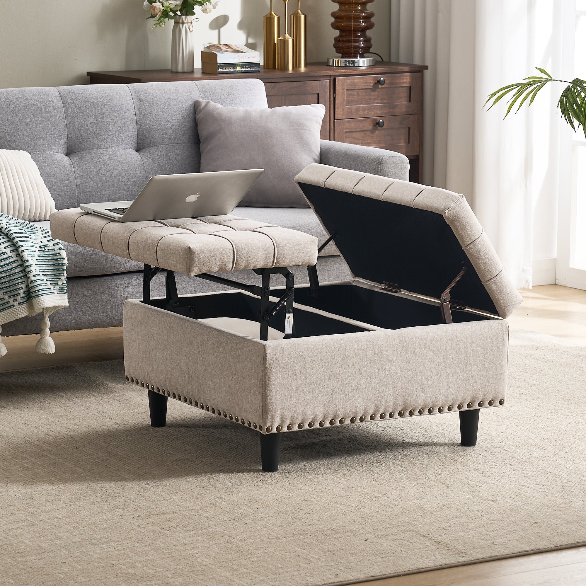 Storage Chair, Large Square Liftable Bench with Space, Beige