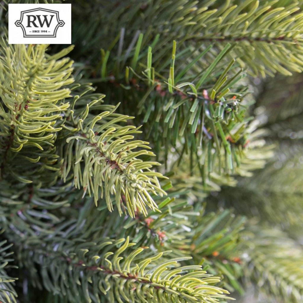 9ft Premium Icelandic Pine Artificial Christmas Tree - Rathwood Store