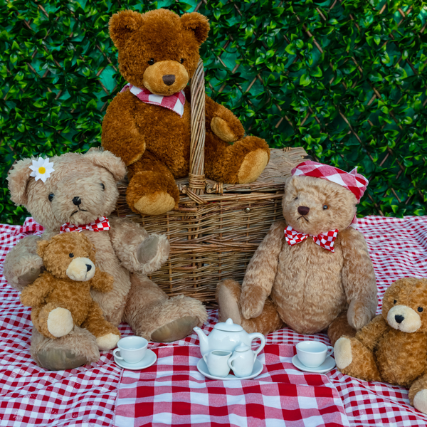 Teddy Bears Picnic Launch Weekend - 1 Adult 2 Children — photo 5 of 5