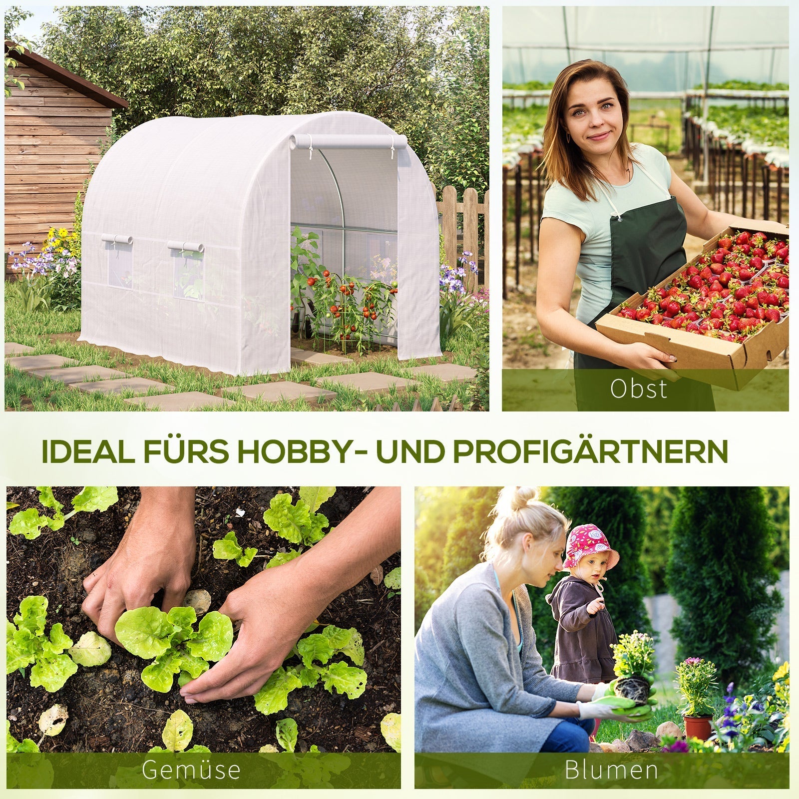 Foil Greenhouse, Hothouse Plant House 245x200x200 cm, Foil Material