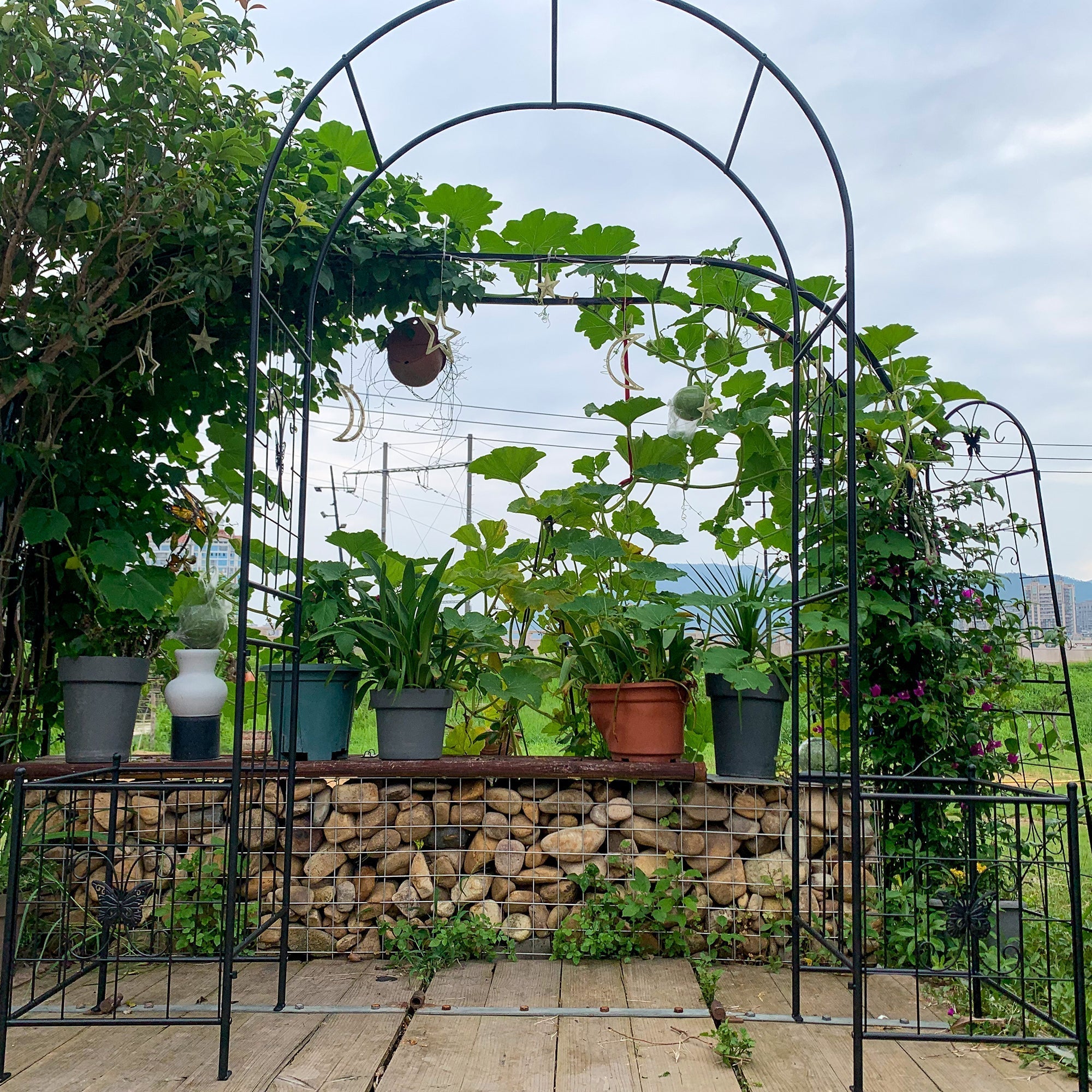 Garden Arch Arbor Trellis for Climbing Plants Outdoor Wedding Arch, Black Metal