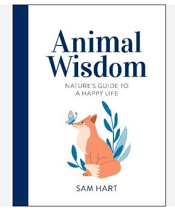 Animal Wisdom Guide To Happy Life - Rathwood Store