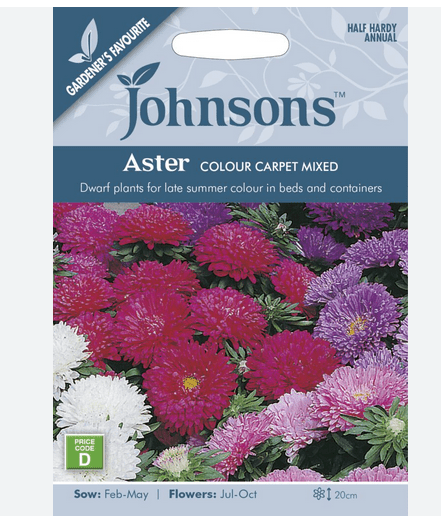 Aster - Colour Carpet Mix - Rathwood Store