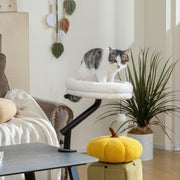 Cat Desk Bed, 360° Rotation, Adjustable Height, Washable, Cream White