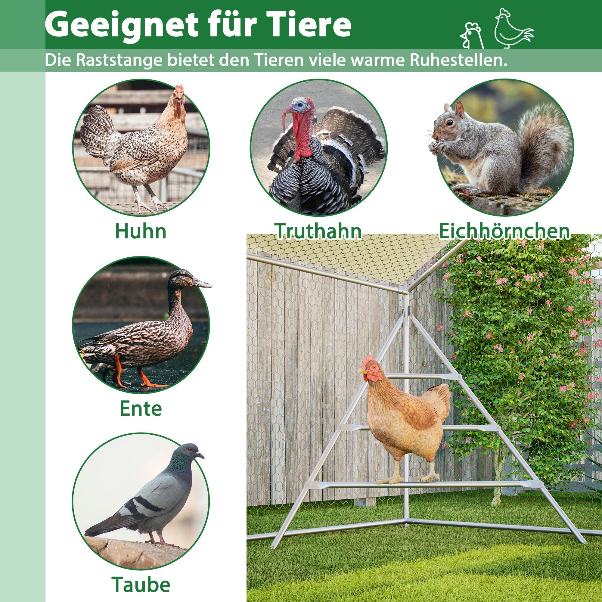 Aviary/Chicken Coop 3x4m Climbing Frame Roof Safety Lock - Metal
