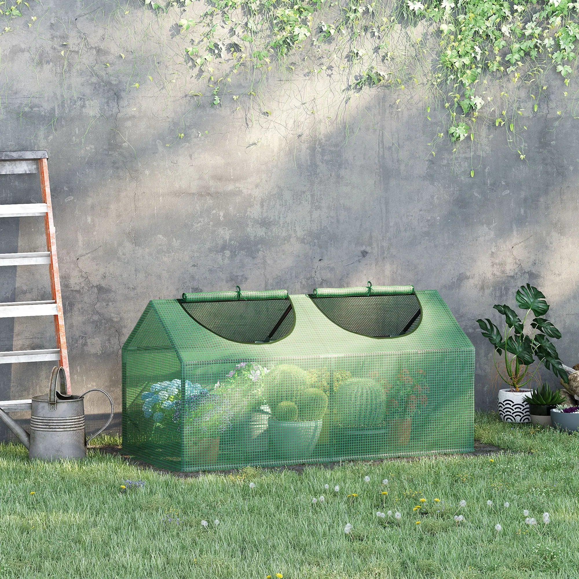 Polytunnel Greenhouse, Window, Tomatoes & Plants, Green