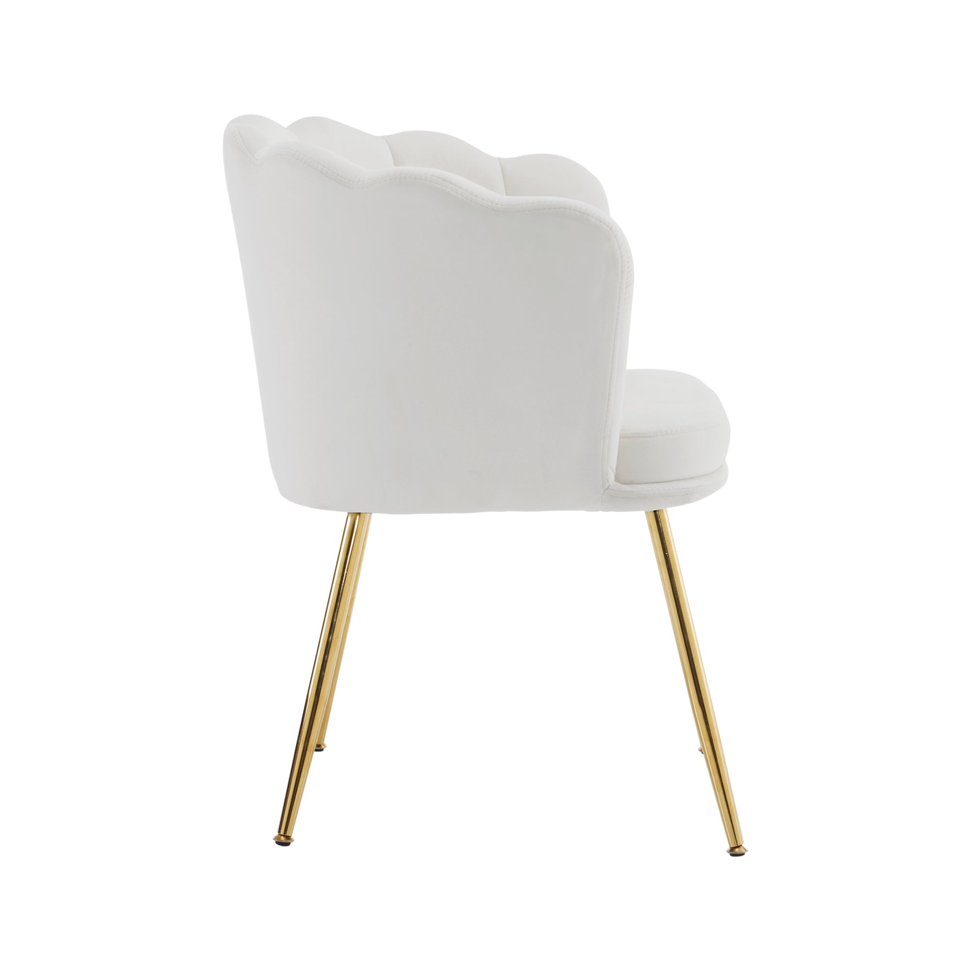 Chairs, Set of 6 Modern Velvet with Petal Backs, Gold Legs
