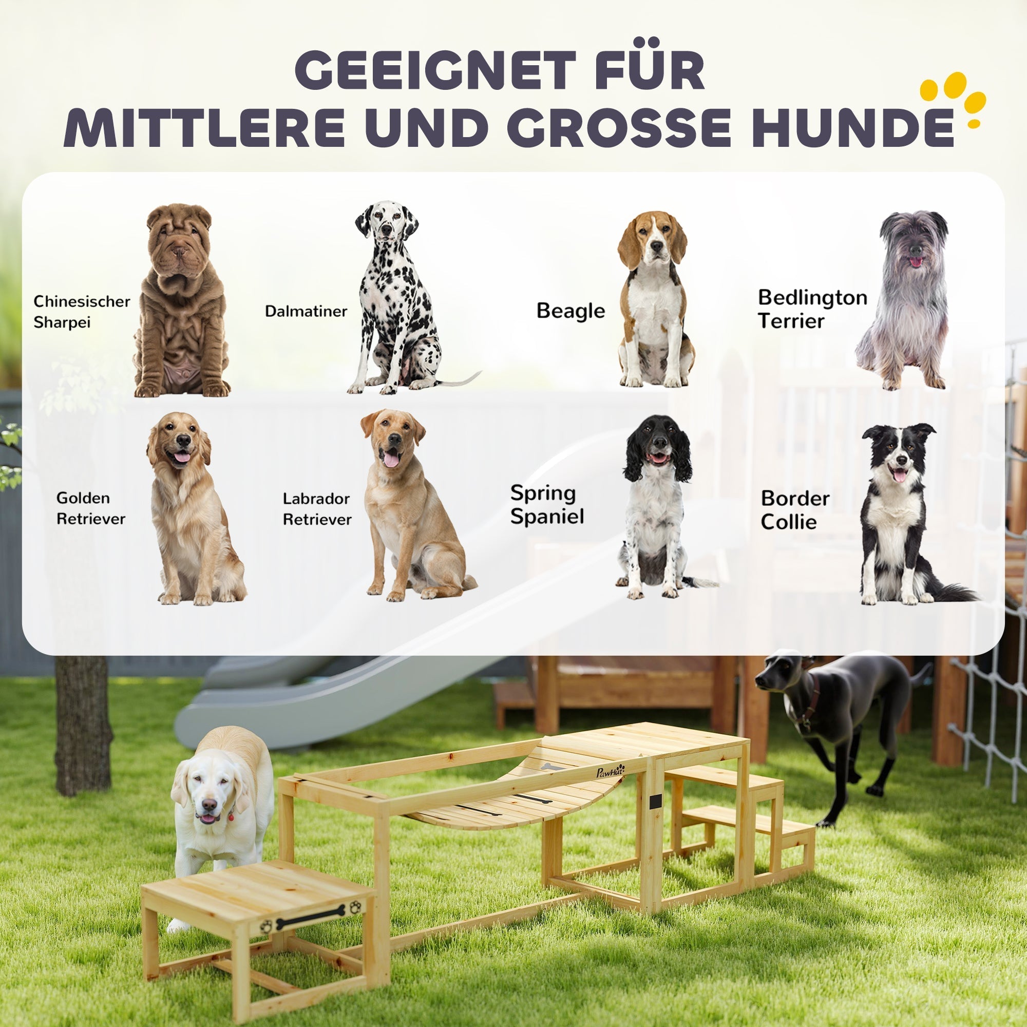 Hunde-Agility-Set, 4-teiliges Training, Tannenholz