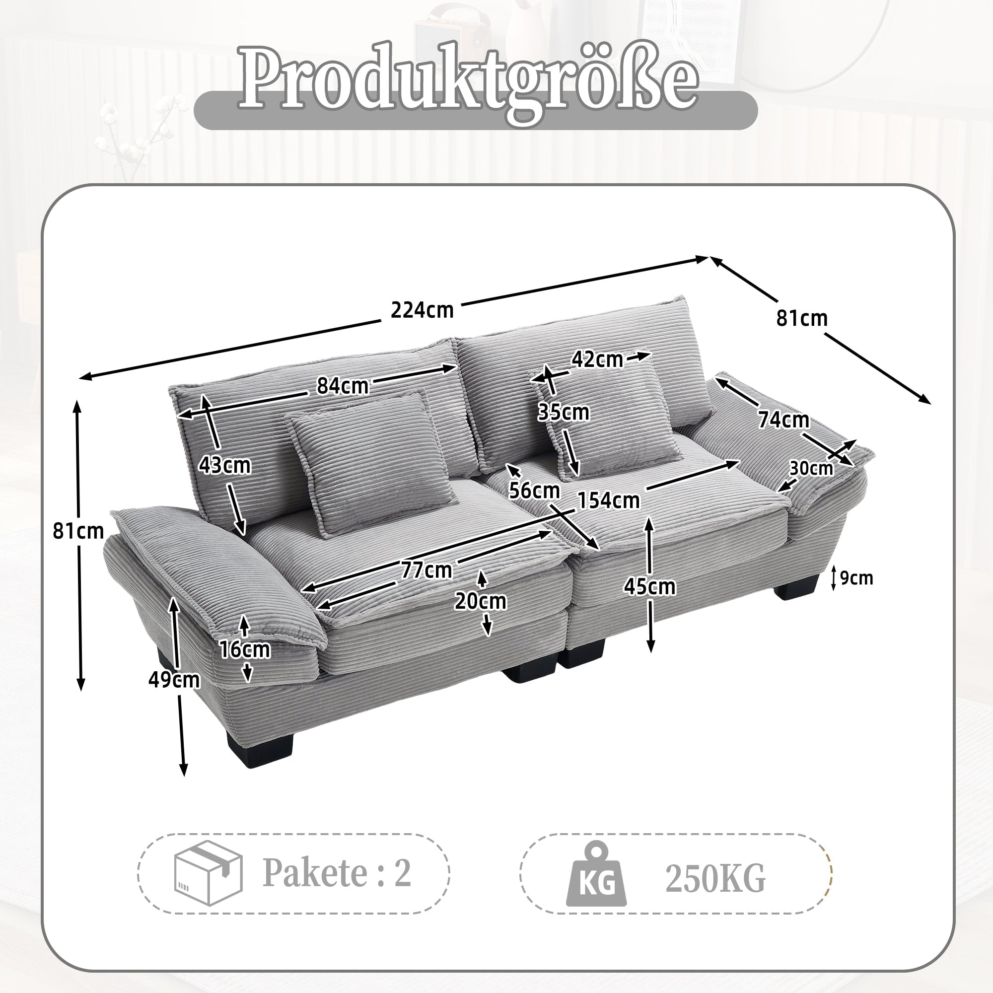 Double Sofa, Modern Feather Bed Simple Spacious, Light Grey
