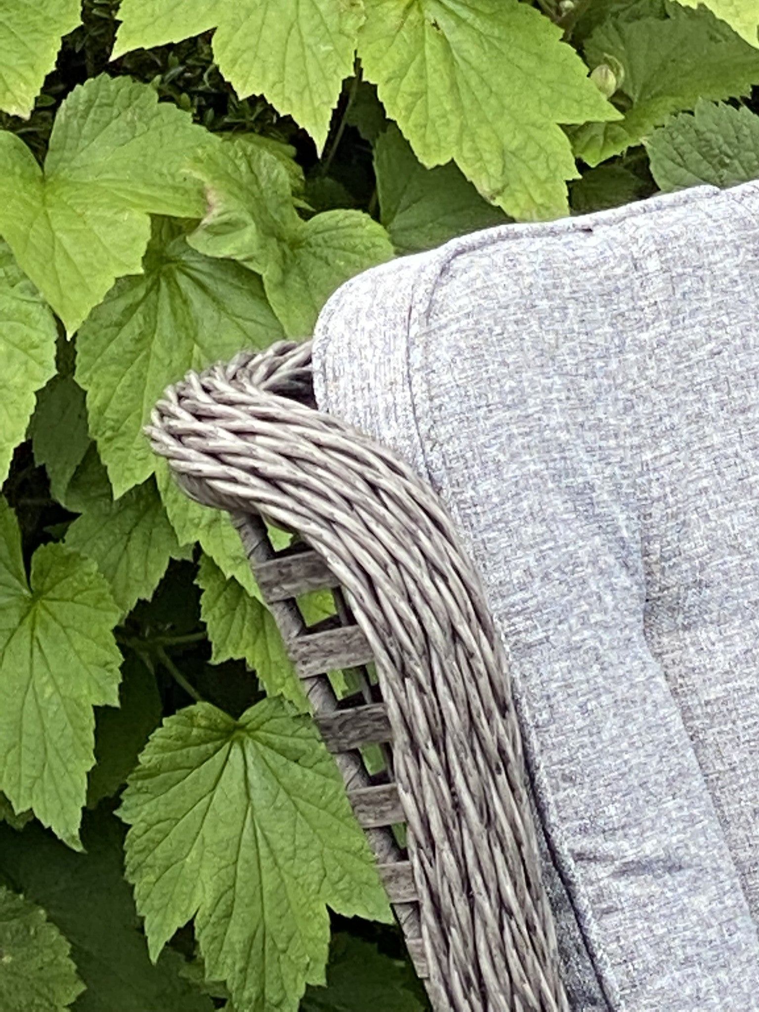 Boston - High Back Chair (Dark Grey) - Rathwood Store