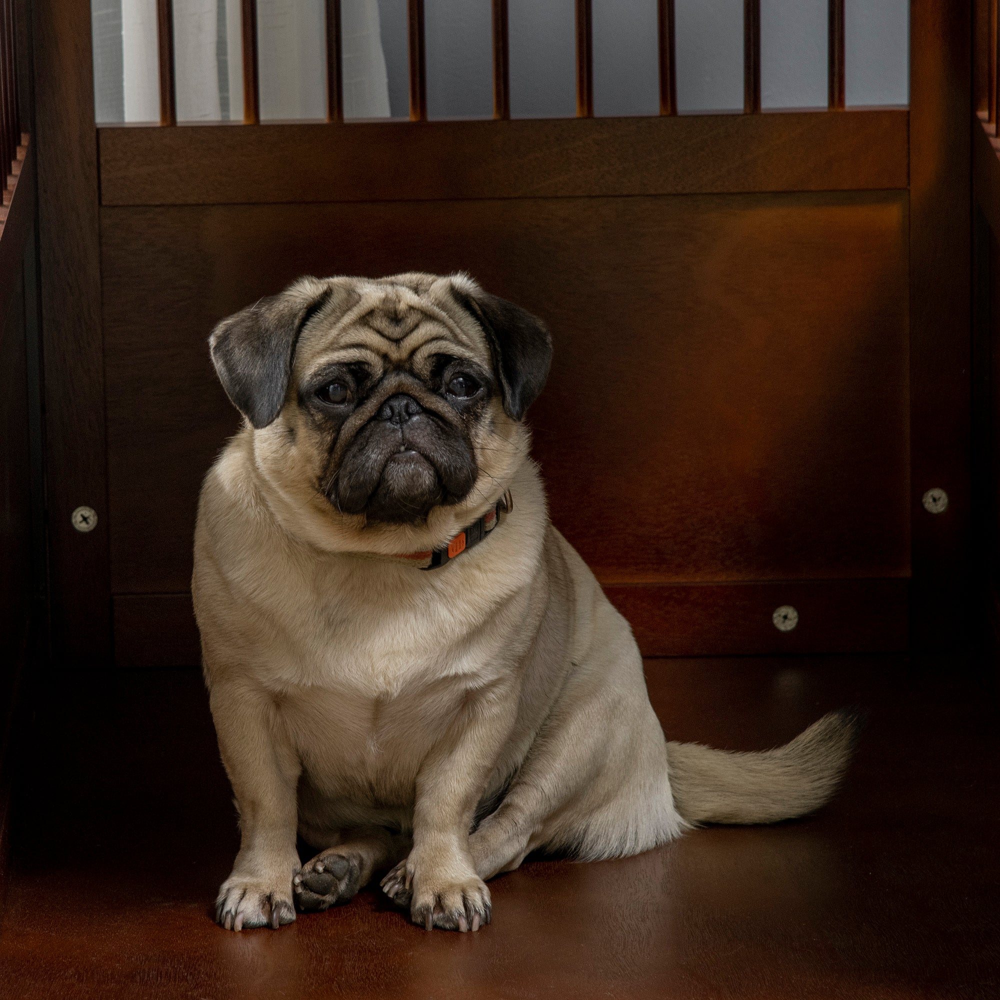 Dog Cage Indoor Tabletop Lockable Door, Brown