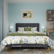Upholstered Bed, Modern Minimalist Soft Headboard, 160x200 cm Grey
