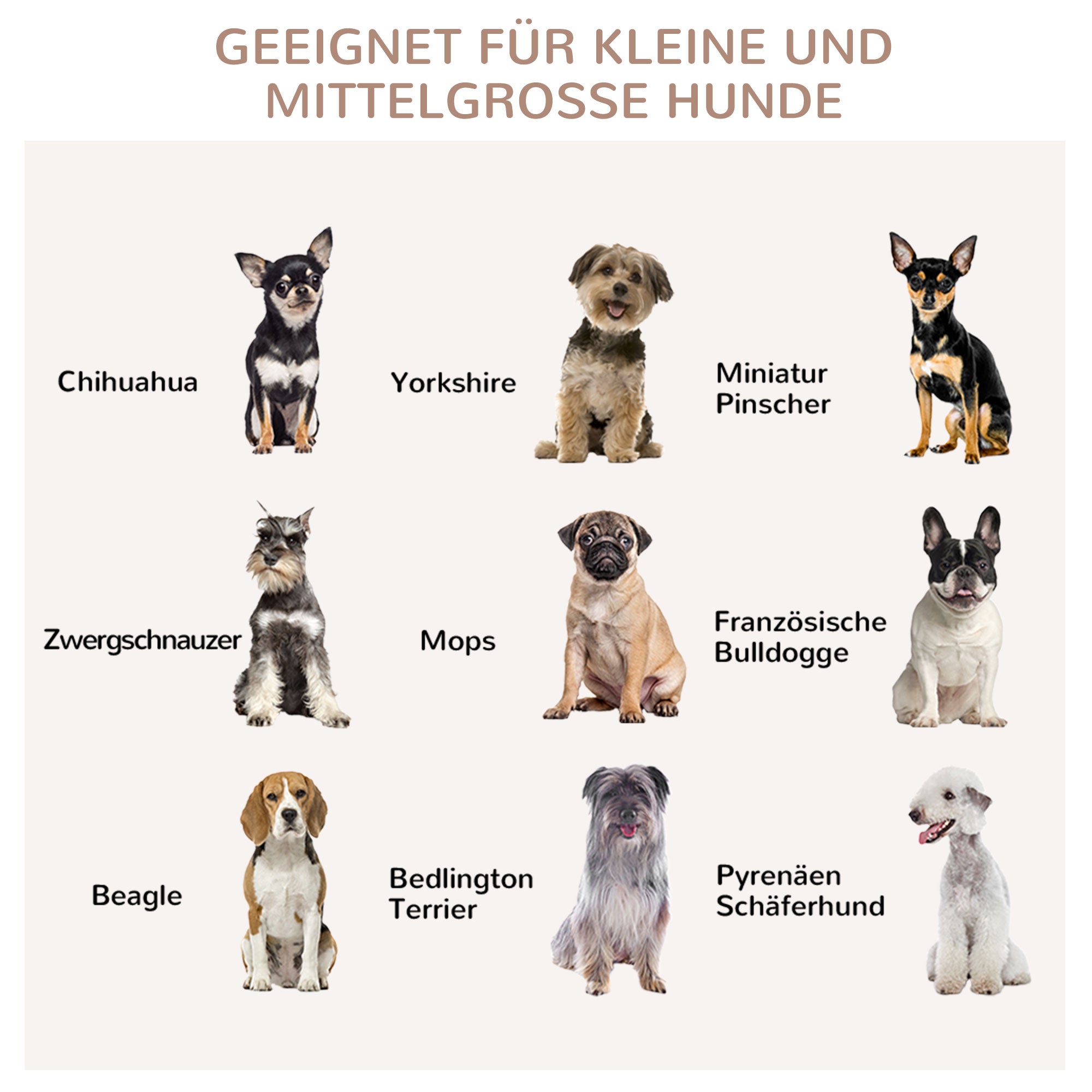 Hundebox für mittelgroße Hunde, Kissen, Naturholz in Cremeweiß