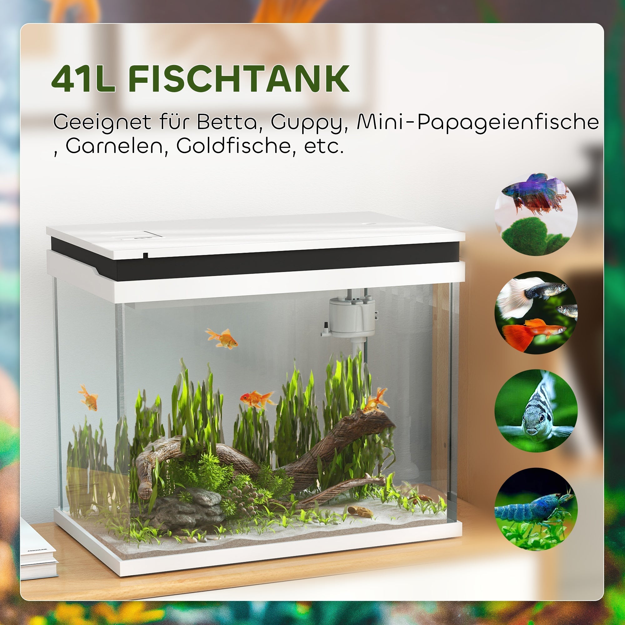 Aquarium, 41 Liter Glas mit Filtersystem, LED-Beleuchtung, Weiß