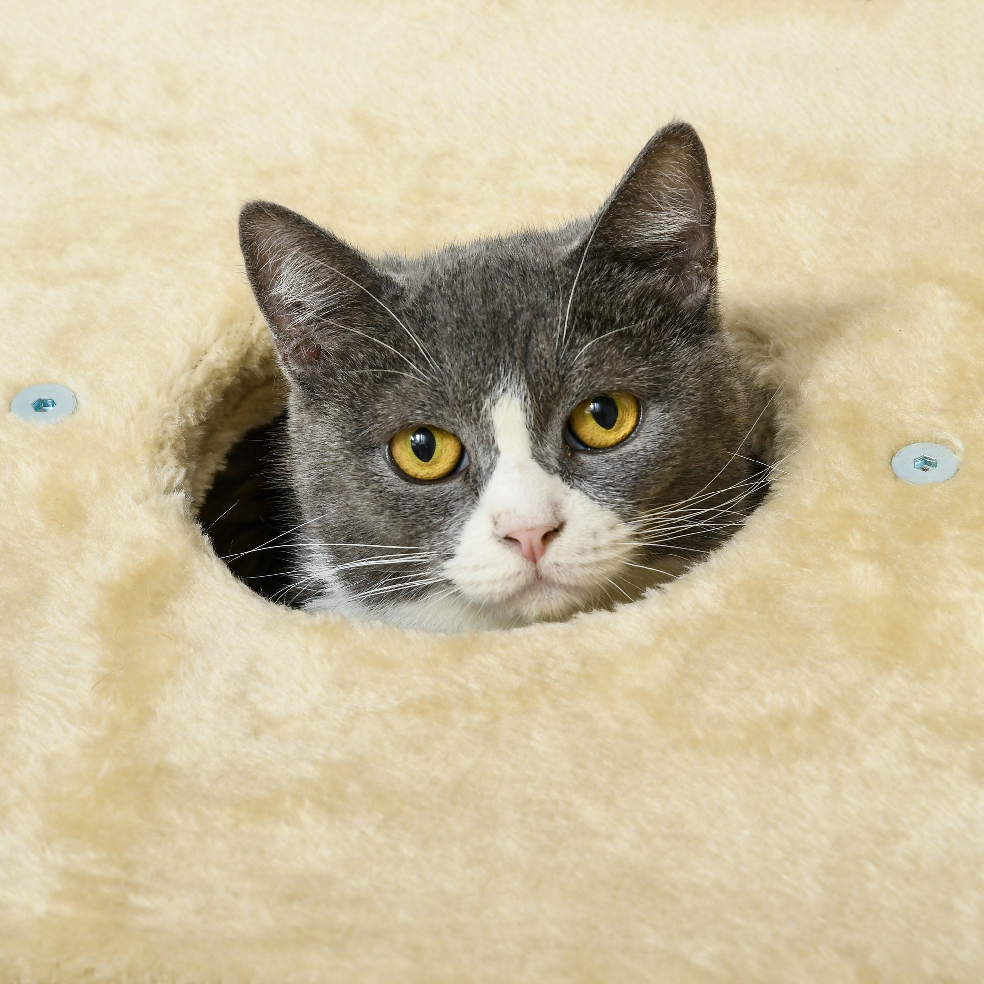 Cat Scratching Post, 74 cm Cat Tree with Cave, Beige