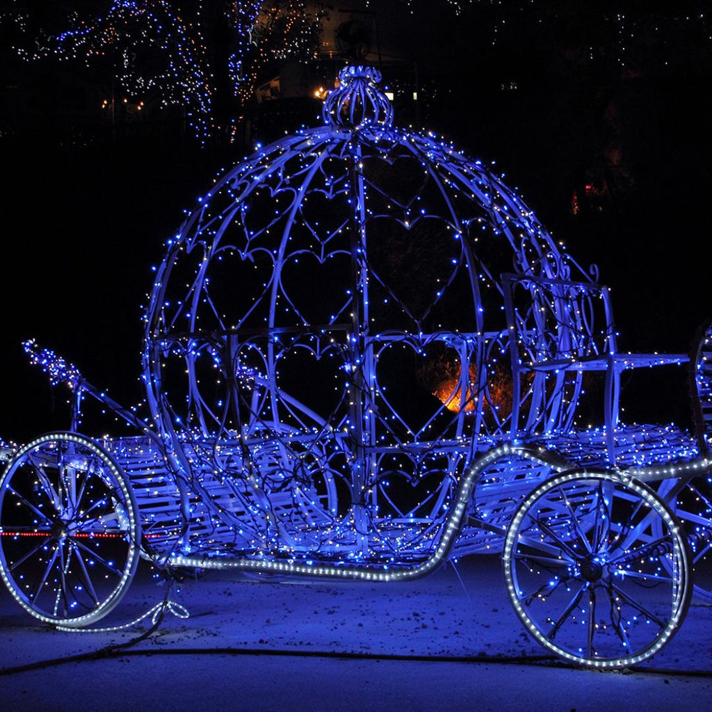 CINDERELLA Panto: A Fairytale in the Forest! - Rathwood Store
