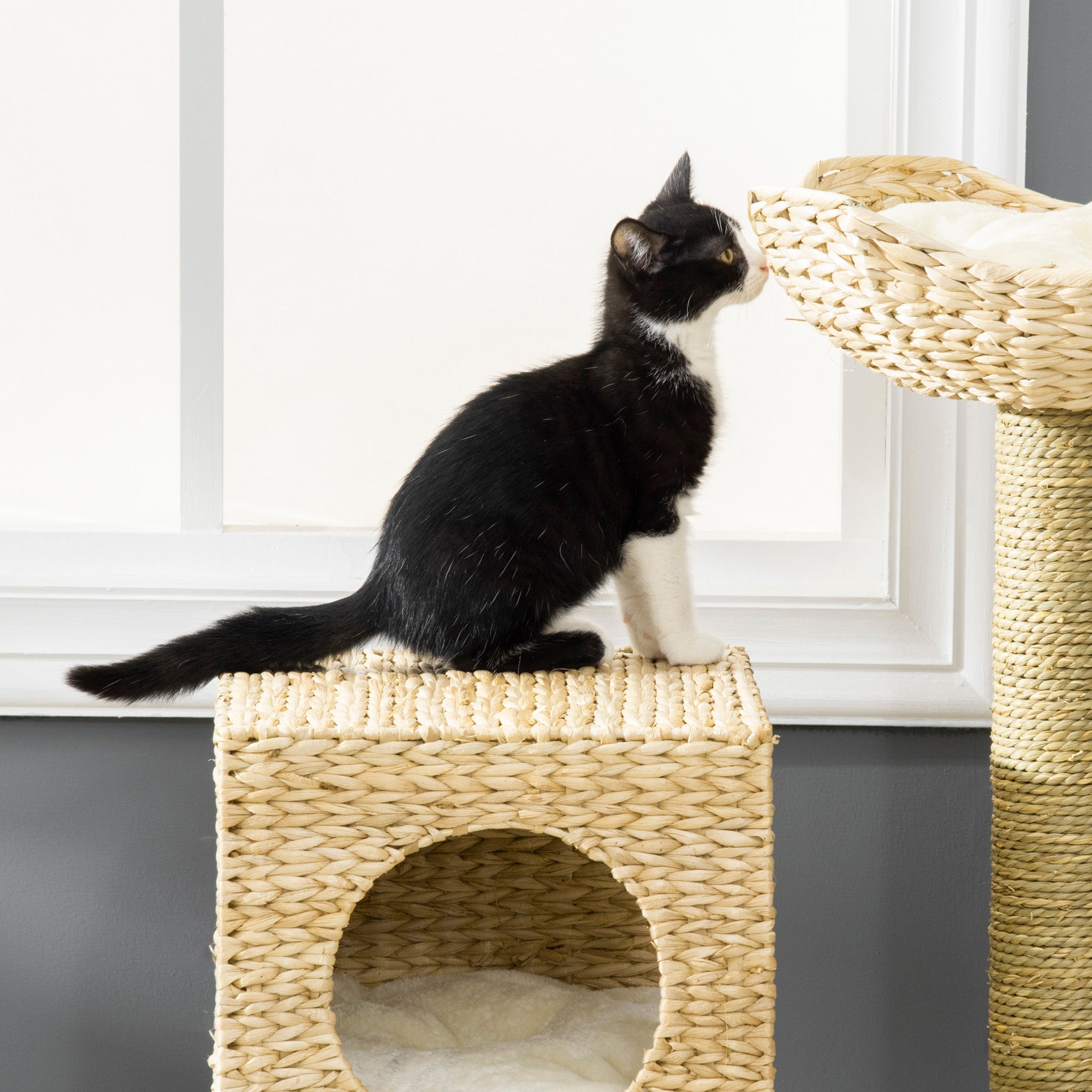 Katzenkratzbaum, 100,5 cm hoch, Katzenhöhle, Bett, Treppe, Sisal, Natur