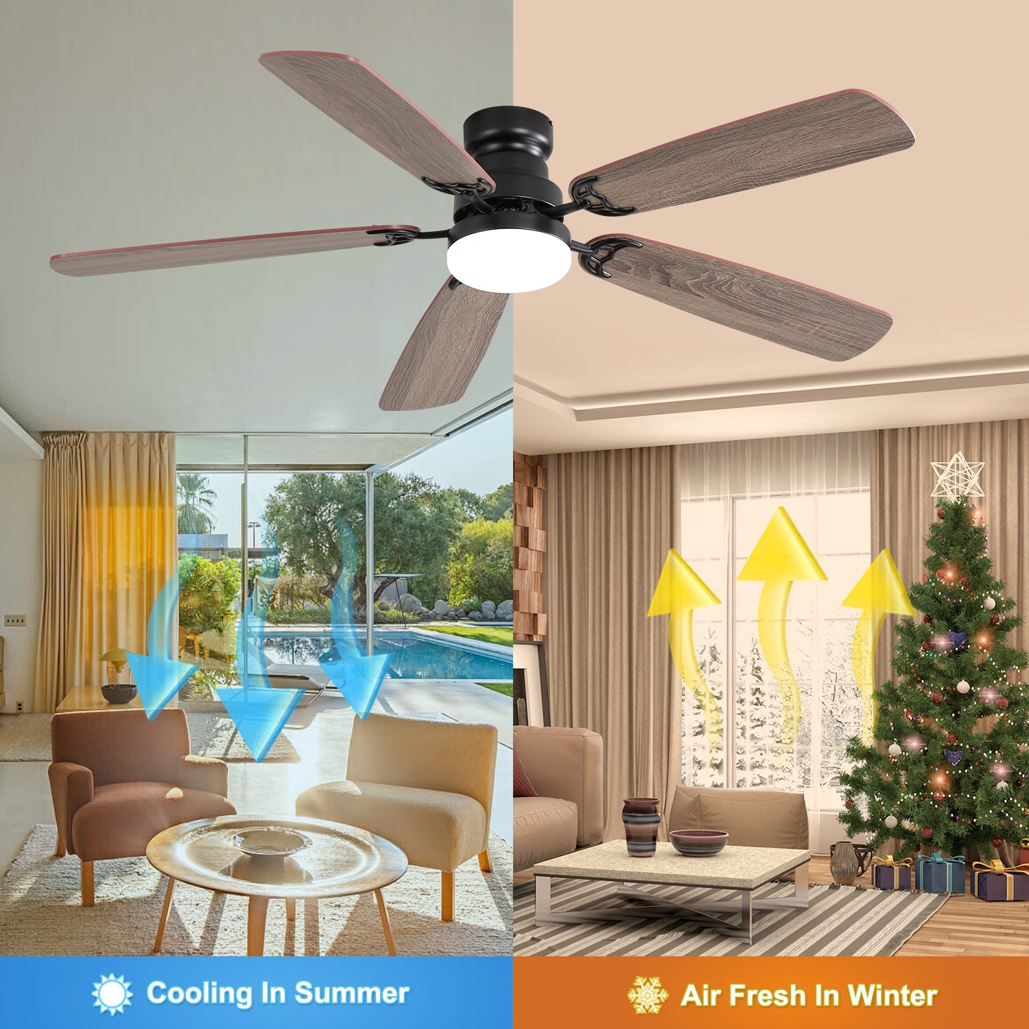 Classic Ceiling Fan 52-Inch, Dimmable LED, 6 Speeds, 5-Blade, DC Motor