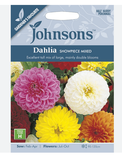 Dahlia - Showpiece Mixed - Rathwood Store