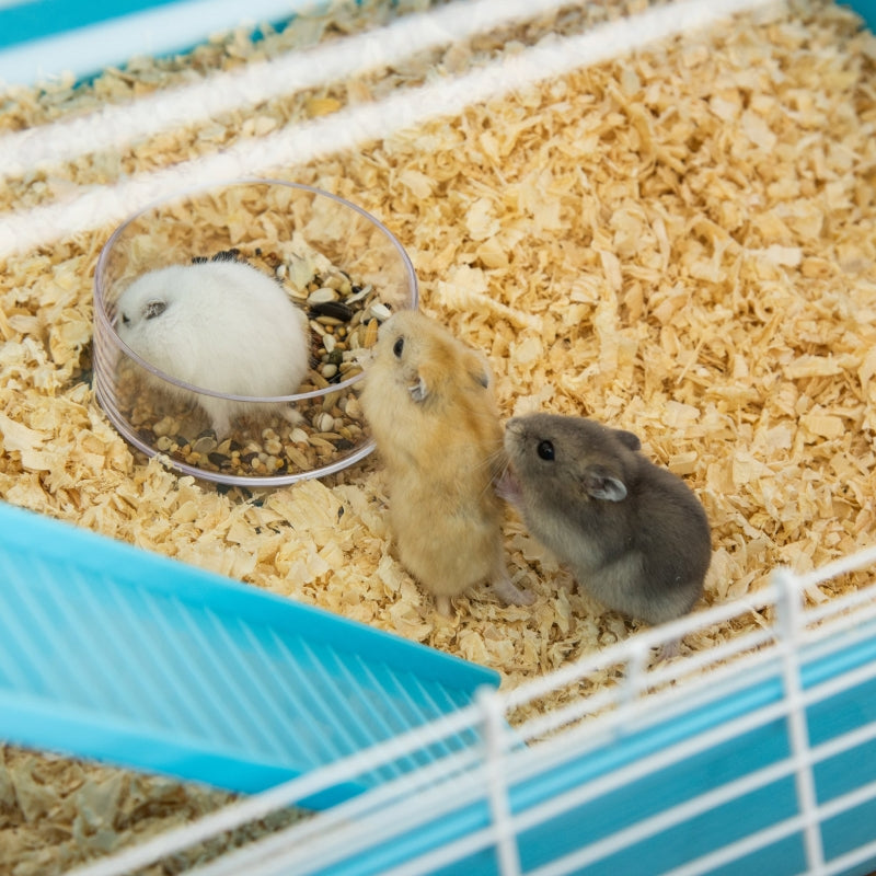 Kleintierkäfig, 5 Ebenen mit Laufrad, Hellblau + Weißer Kunststoff