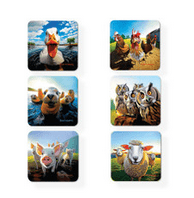 EOC Beyond The Herd Coasters Set/6 - Rathwood Store