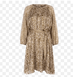 Esqualo Raglan Print Dress AW24 - Gold - Rathwood Store
