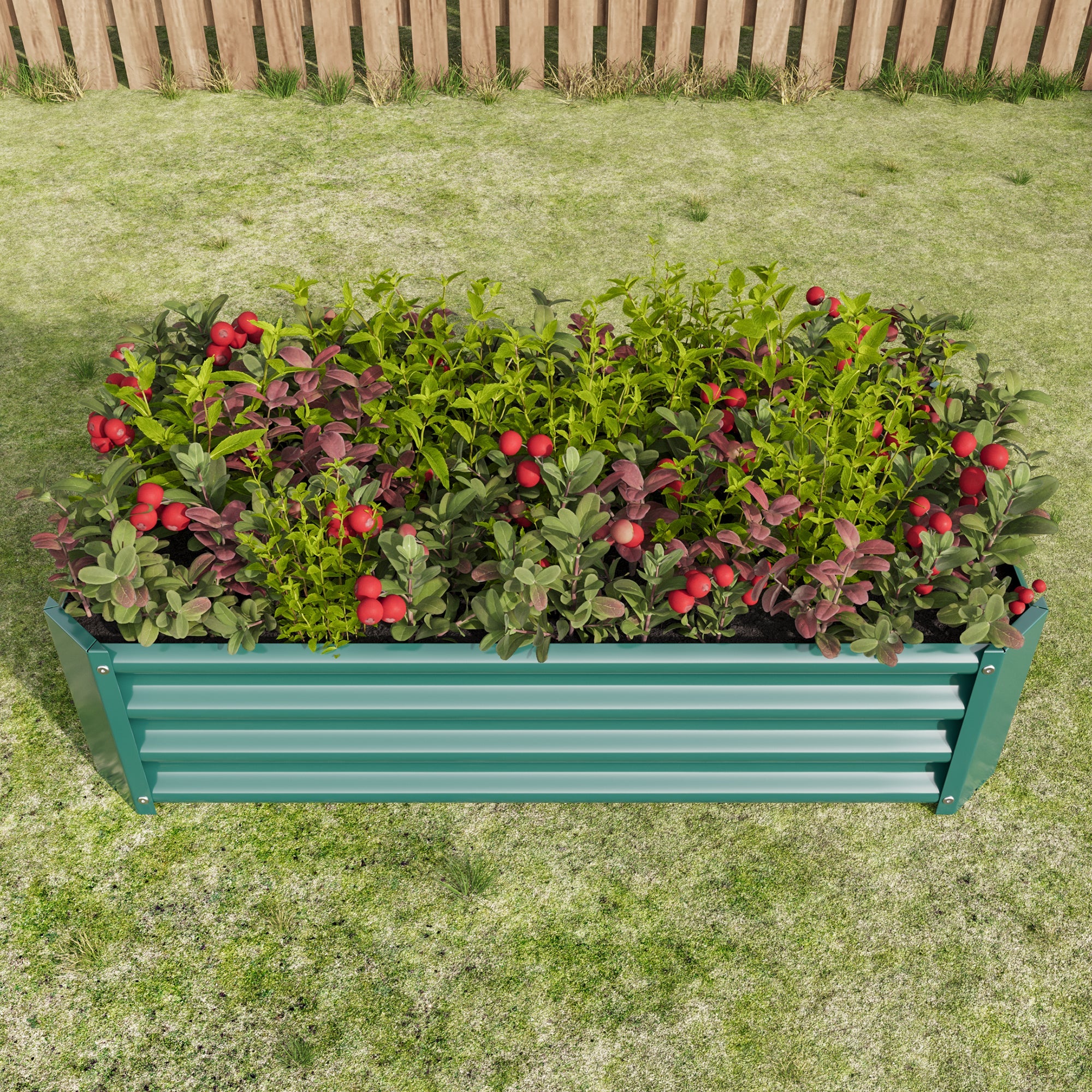 Raised Bed, Robust Metal Plant, Anthracite Steel