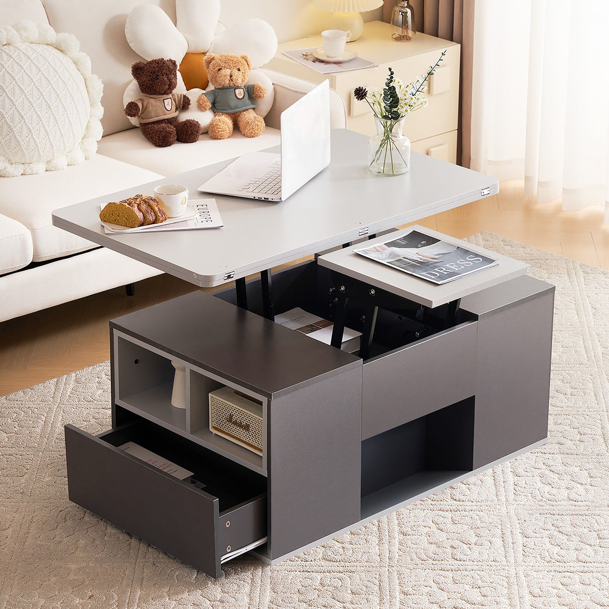 Coffee Table with Storage, Lift-Up, 2 Drawers, Grey