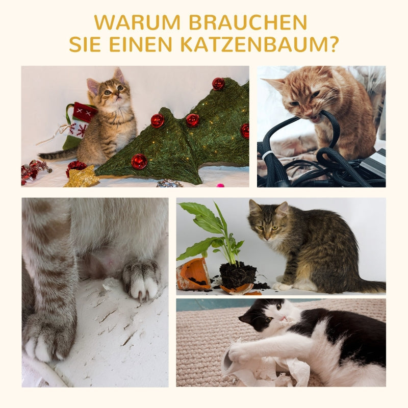 Katzenbaum, Spielbälle, Sisalseil, Beige