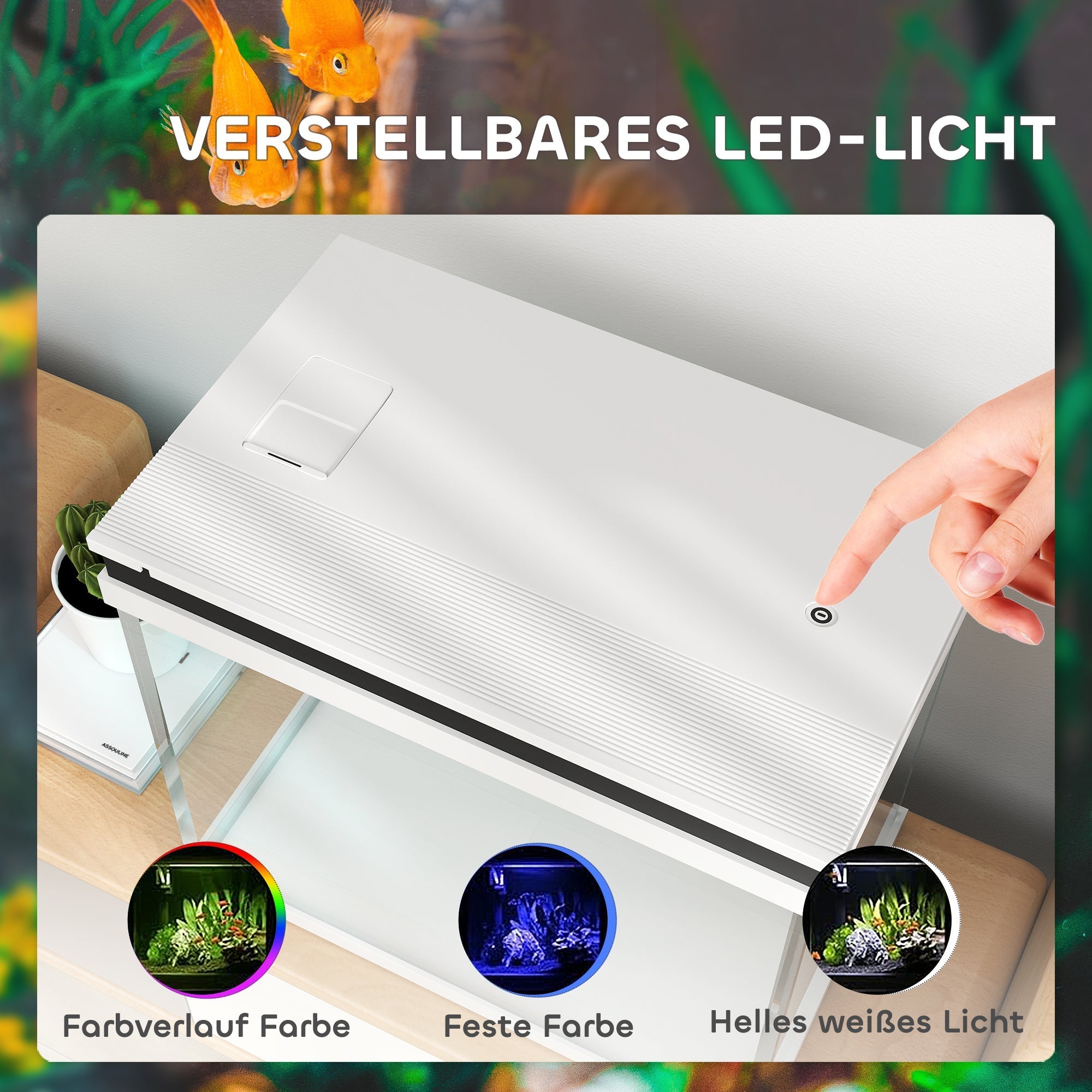 Aquarium, 41 Liter Glas mit Filtersystem, LED-Beleuchtung, Weiß
