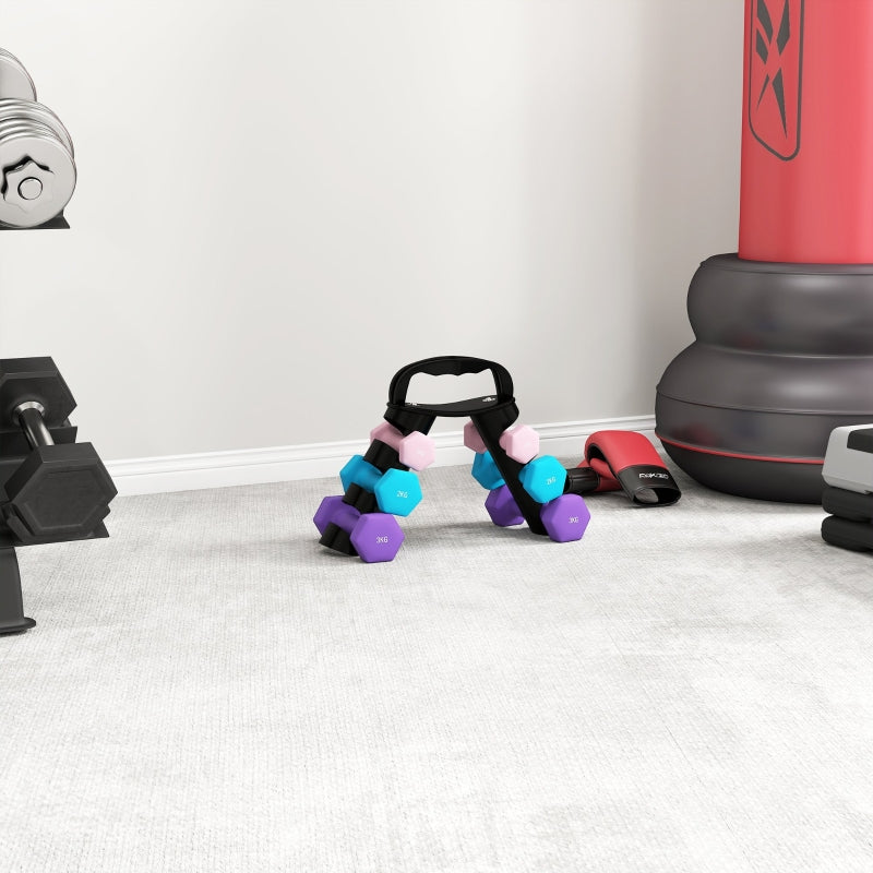 Dumbbell Set with Storage Rack, 6 Weights for Fitness Training (2x1kg, 2x2kg, 2x3kg)