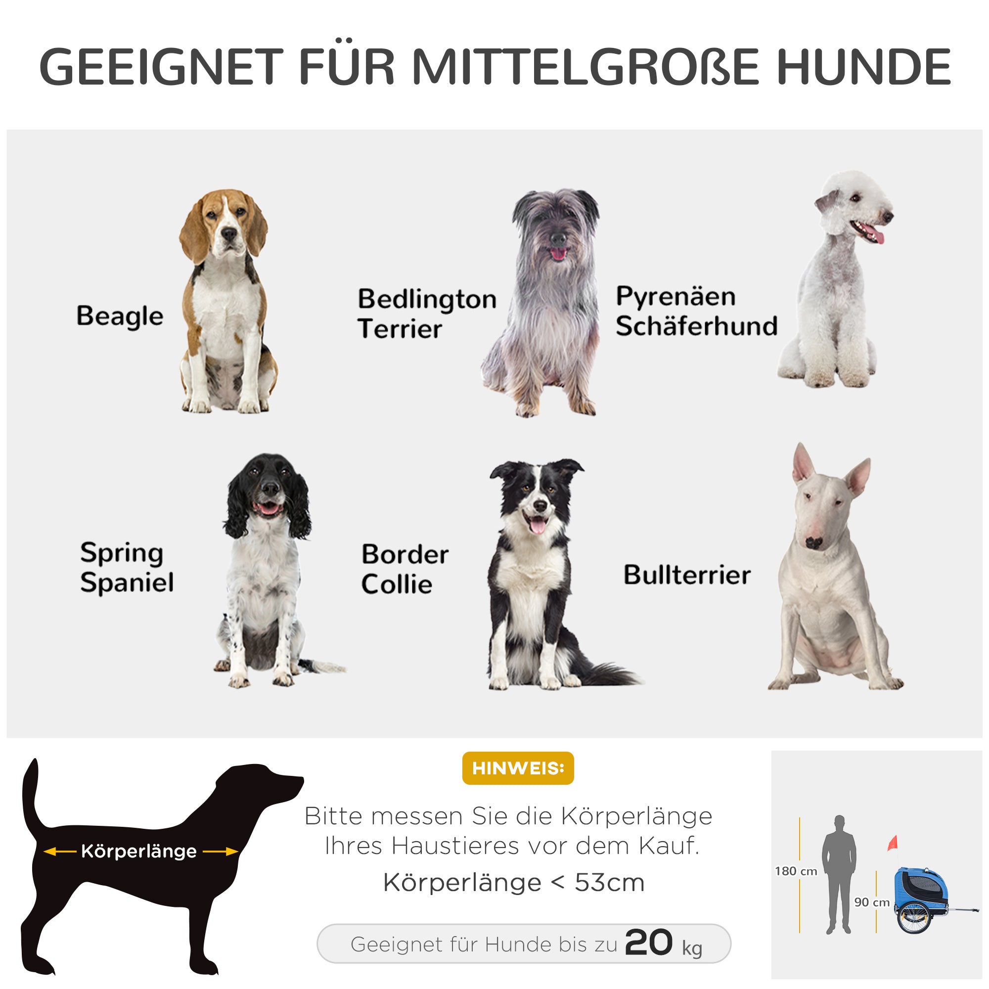 Hundeanhänger, Fahrradtransport, Blau+Schwarz