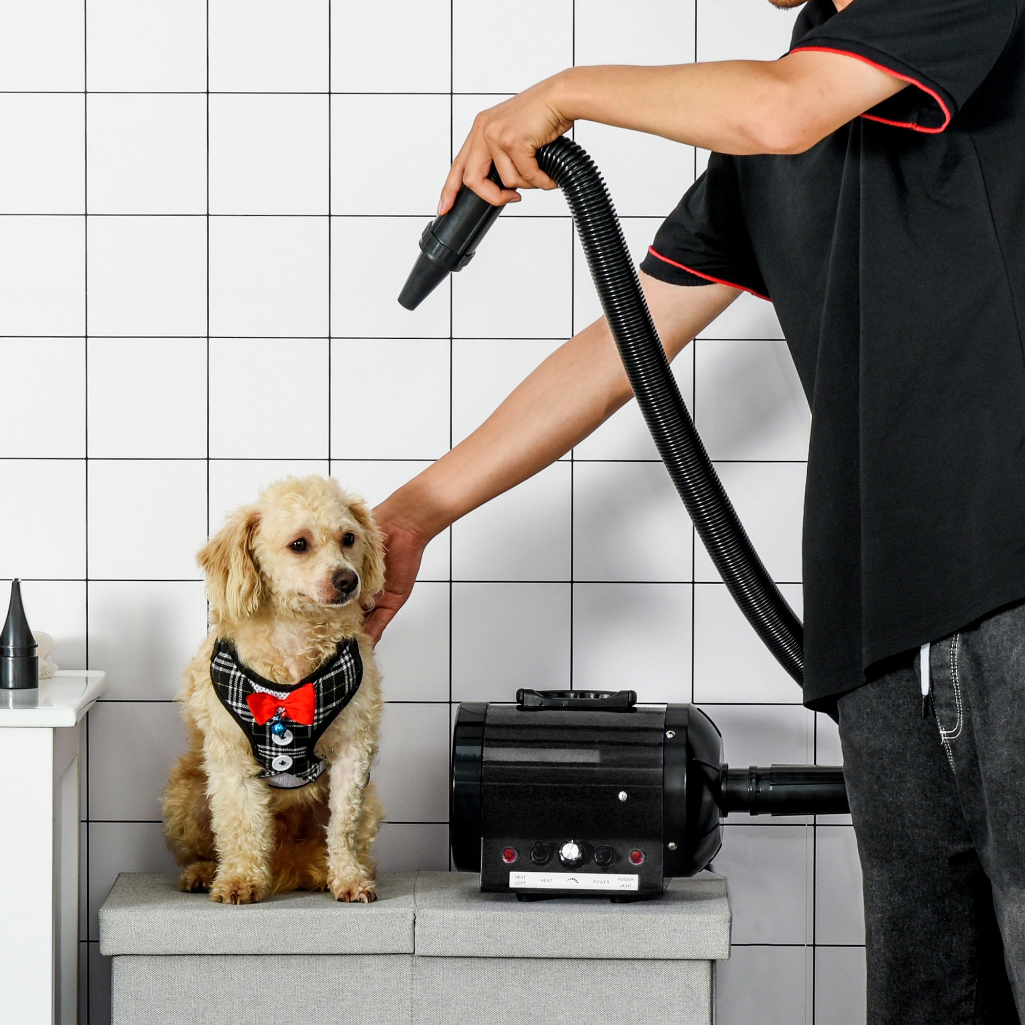 Dog Hair Dryer, Professional Whisper 2800W, Metal Black