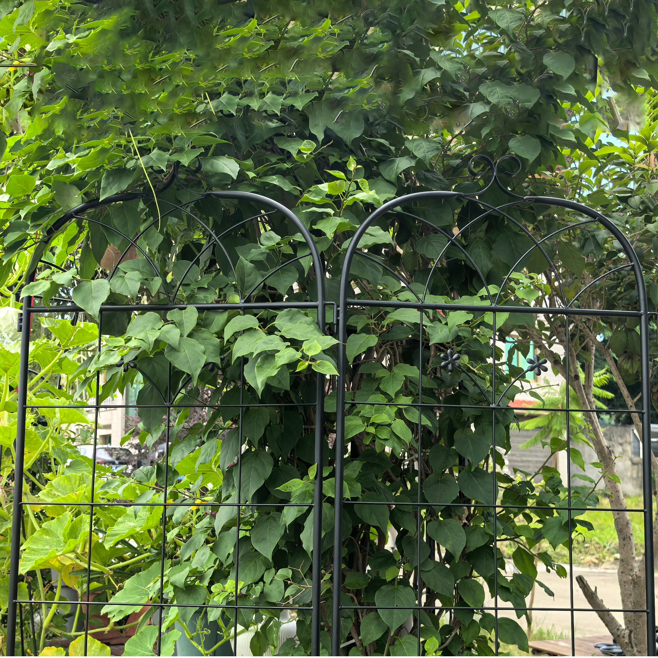 Garden Trellis, 2 Pack Climbing Plants, Metal