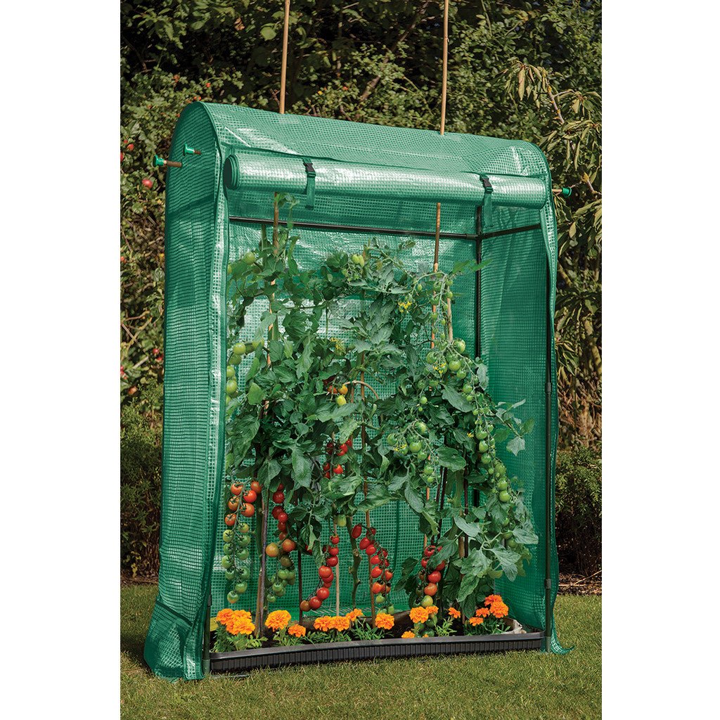 GI Premium Tomato Growhouse - Rathwood Store