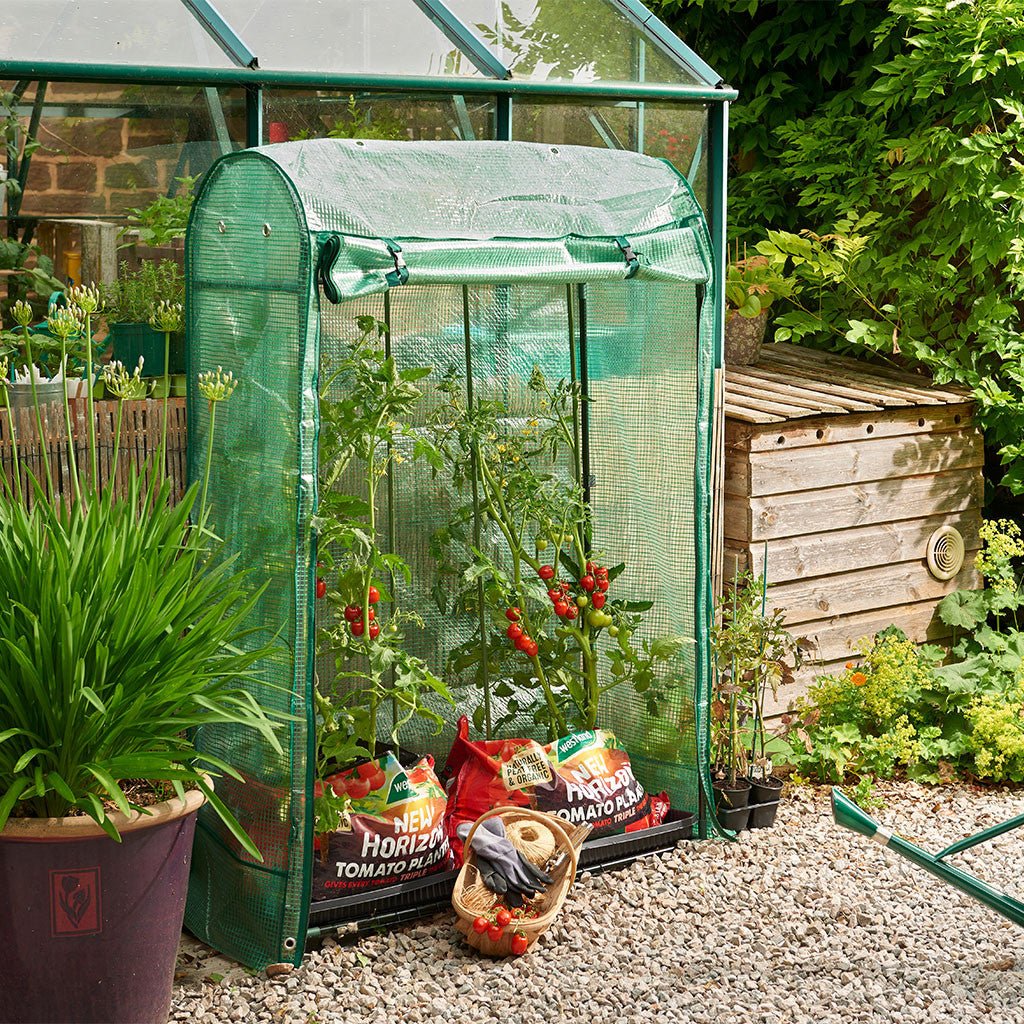 GI Premium Tomato Growhouse - Rathwood Store