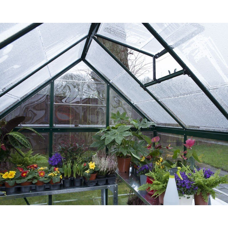 Harmony 6 ft. x 10 ft. Greenhouse Kit - Green Structure & Clear Panels - Rathwood Store
