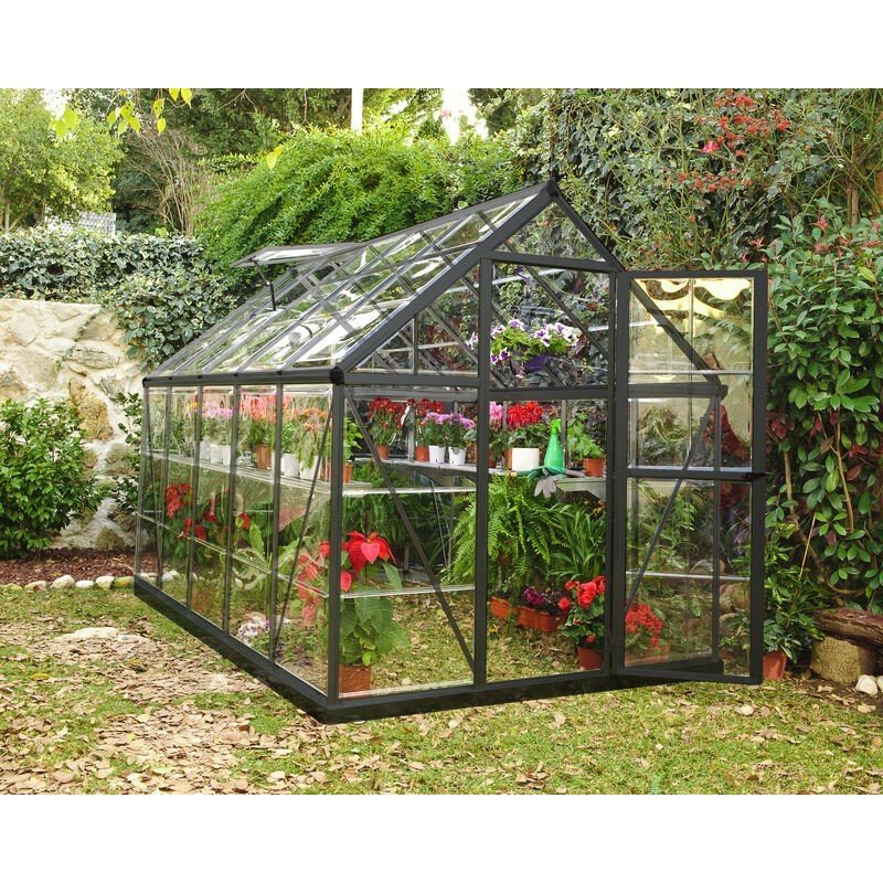 Harmony 6 ft. x 10 ft. Greenhouse Kit - Grey Structure & Clear Panels - Rathwood Store